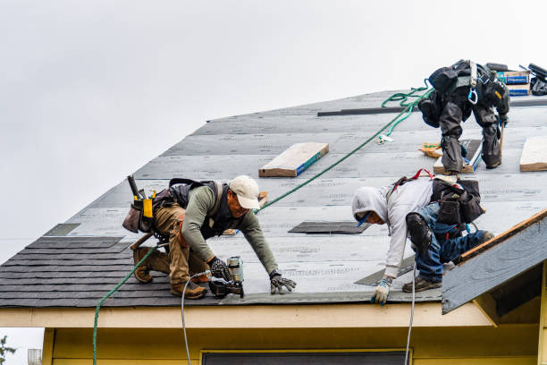 Professional Roofing technician working in Hume, IL